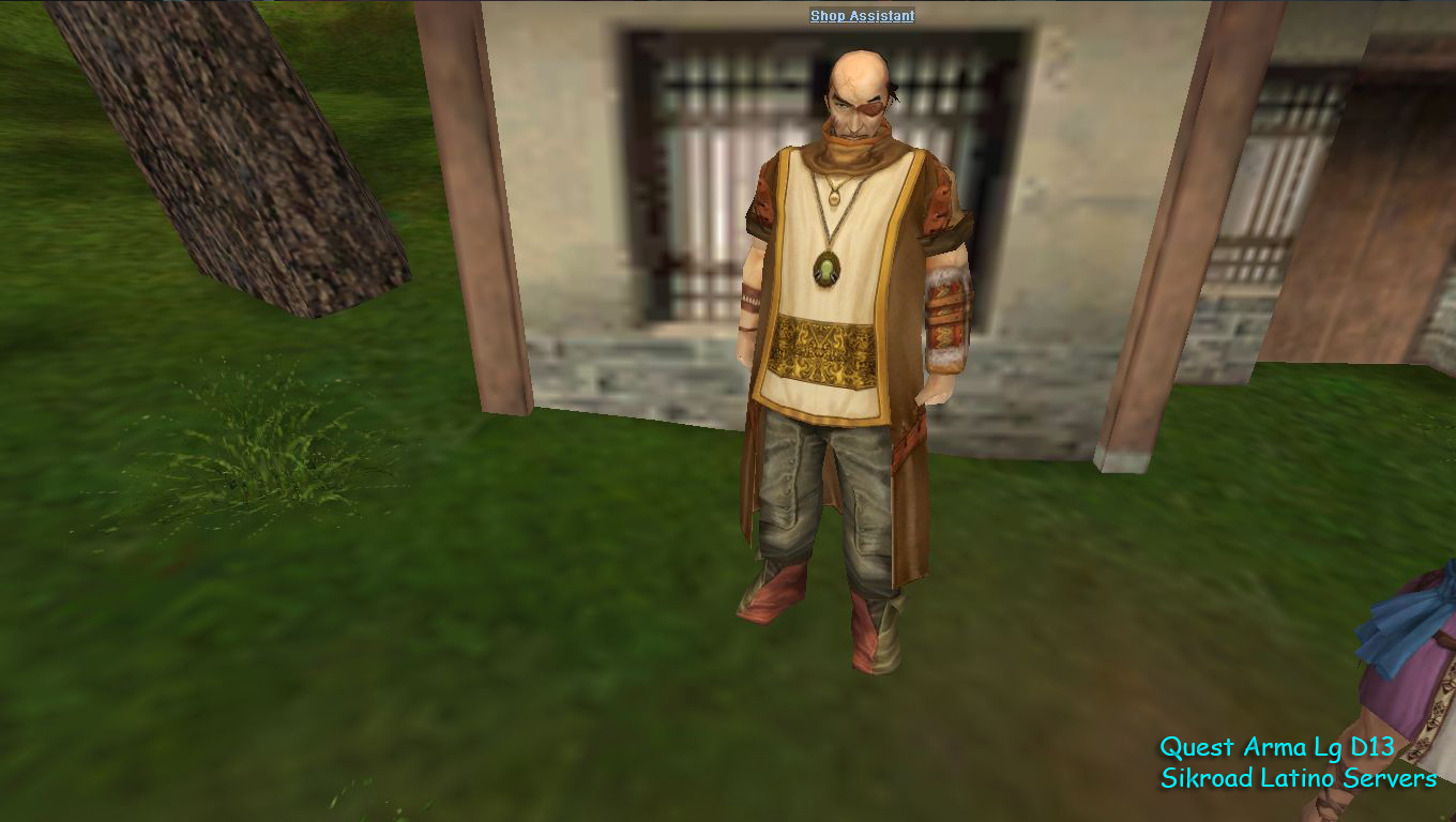 NPC Shop Assistant en la Teleport Zone: desde aca comprás el portal.
